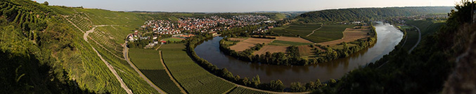 Neckarschleife Mundelsheim