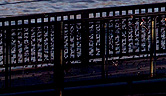 Love Padlocks on the Hohenzollern Bridge